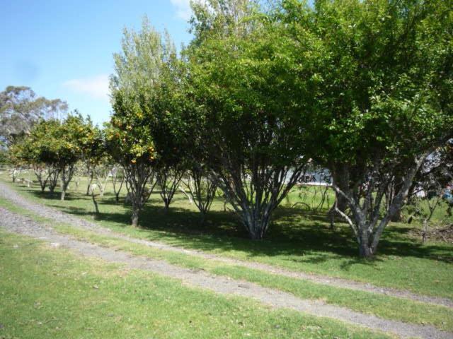 Blue House Villa Awanui Luaran gambar